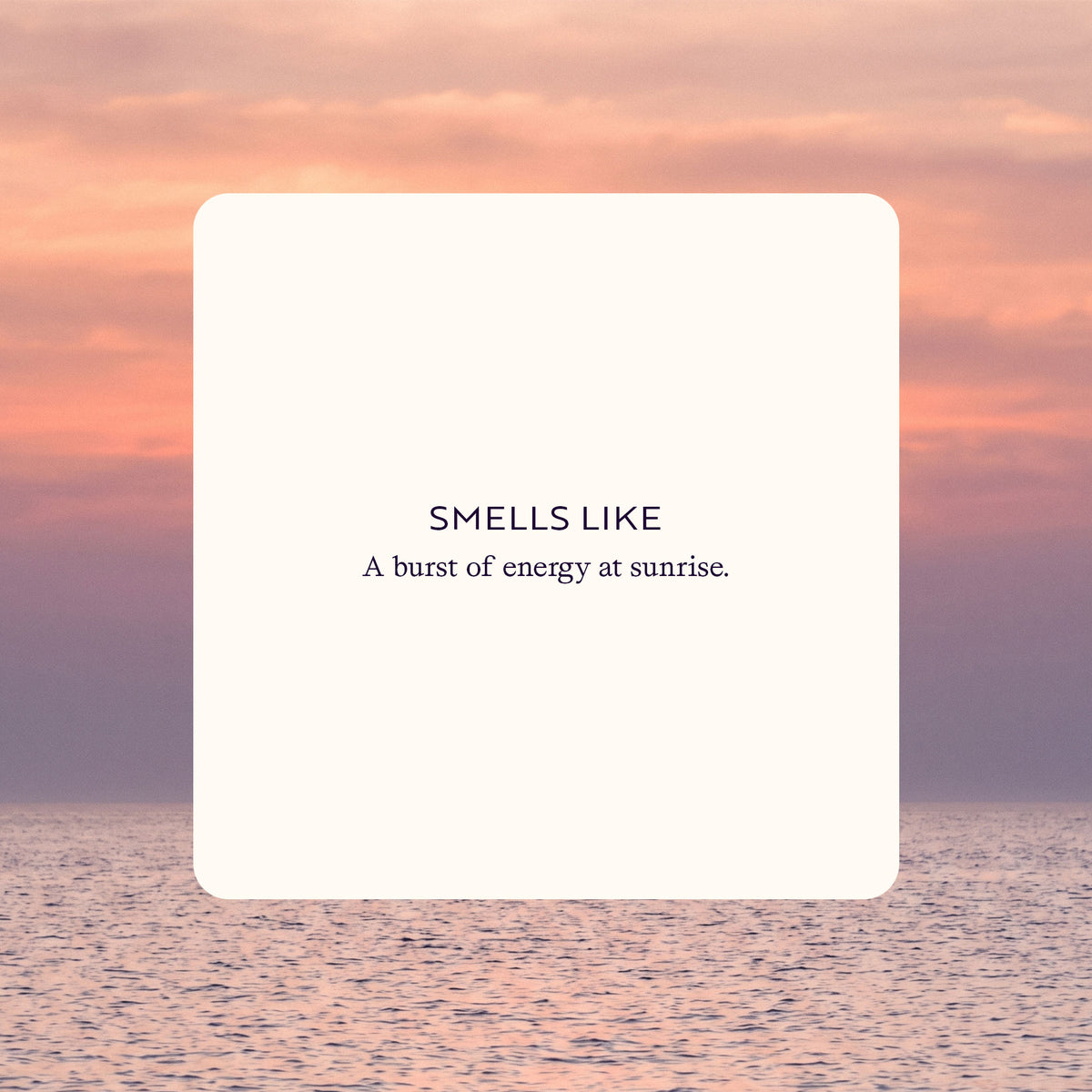 Smells like a burst of energy at sunrise